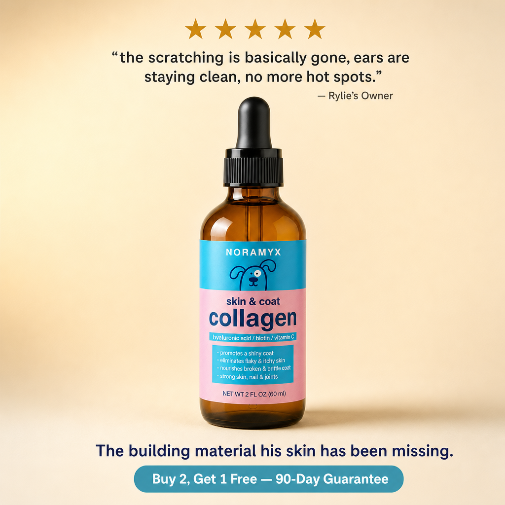 Noramyx Skin and Coat Collagen Serum bottle with five-star review and Buy 2 Get 1 Free offer.