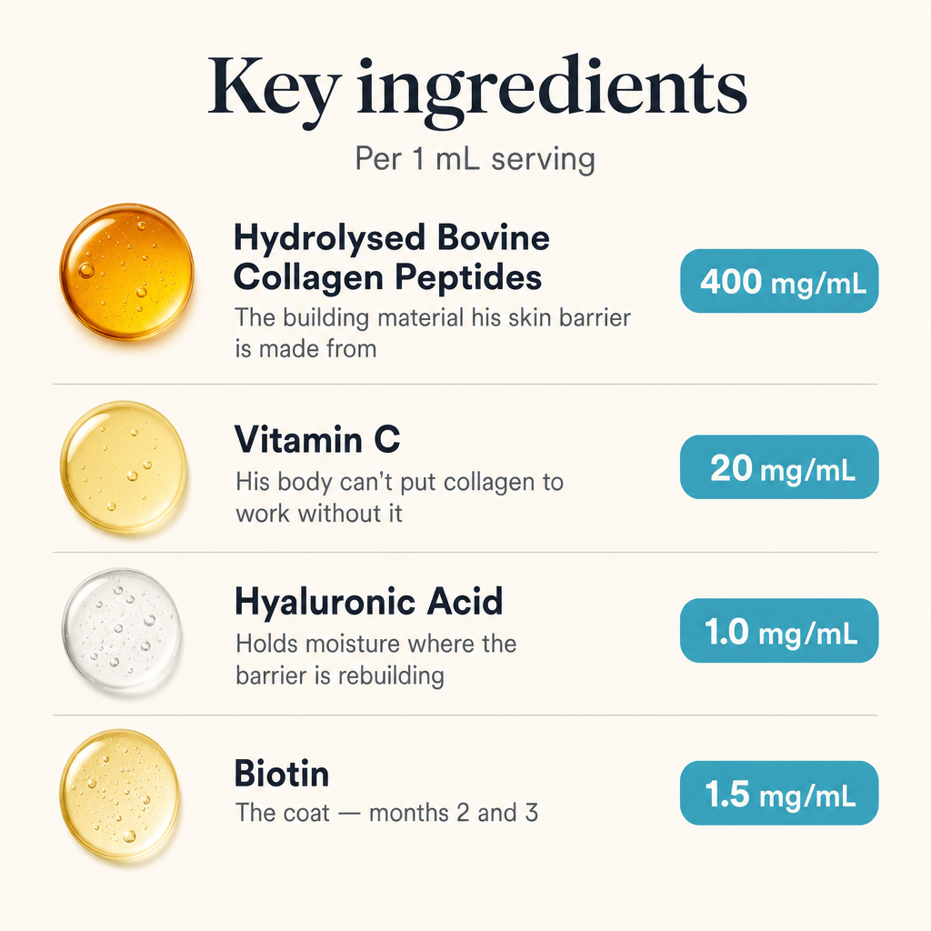 Key ingredients panel showing hydrolysed bovine collagen peptides 400mg, vitamin C 20mg, hyaluronic acid 1.0mg, biotin 1.5mg.