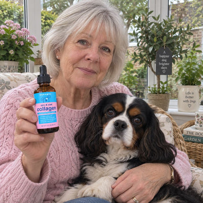 Owner with her Cavalier in the conservatory