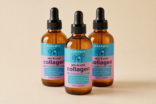 Skin & Coat Collagen Serum