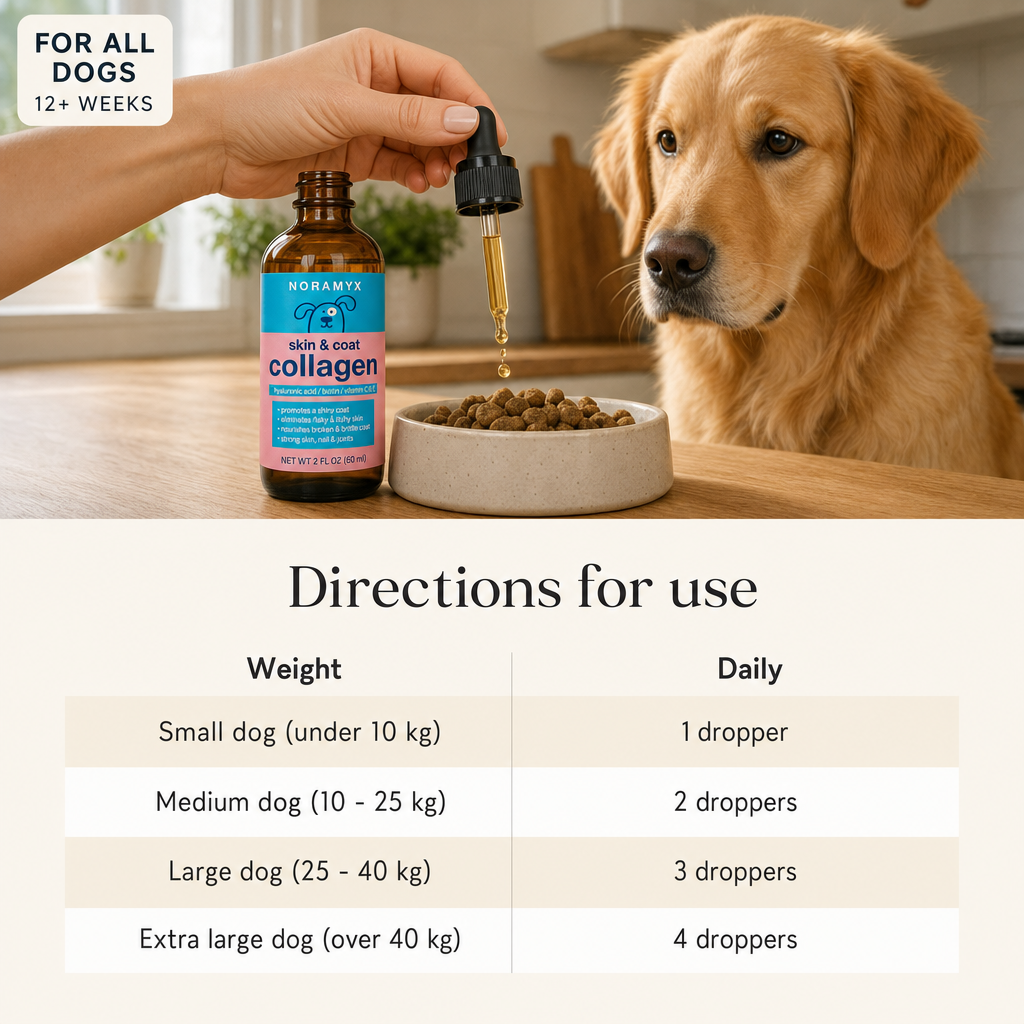 A hand squeezing the Noramyx dropper over a bowl of dog food, with a golden retriever watching. Dosing table below showing amounts by dog weight.