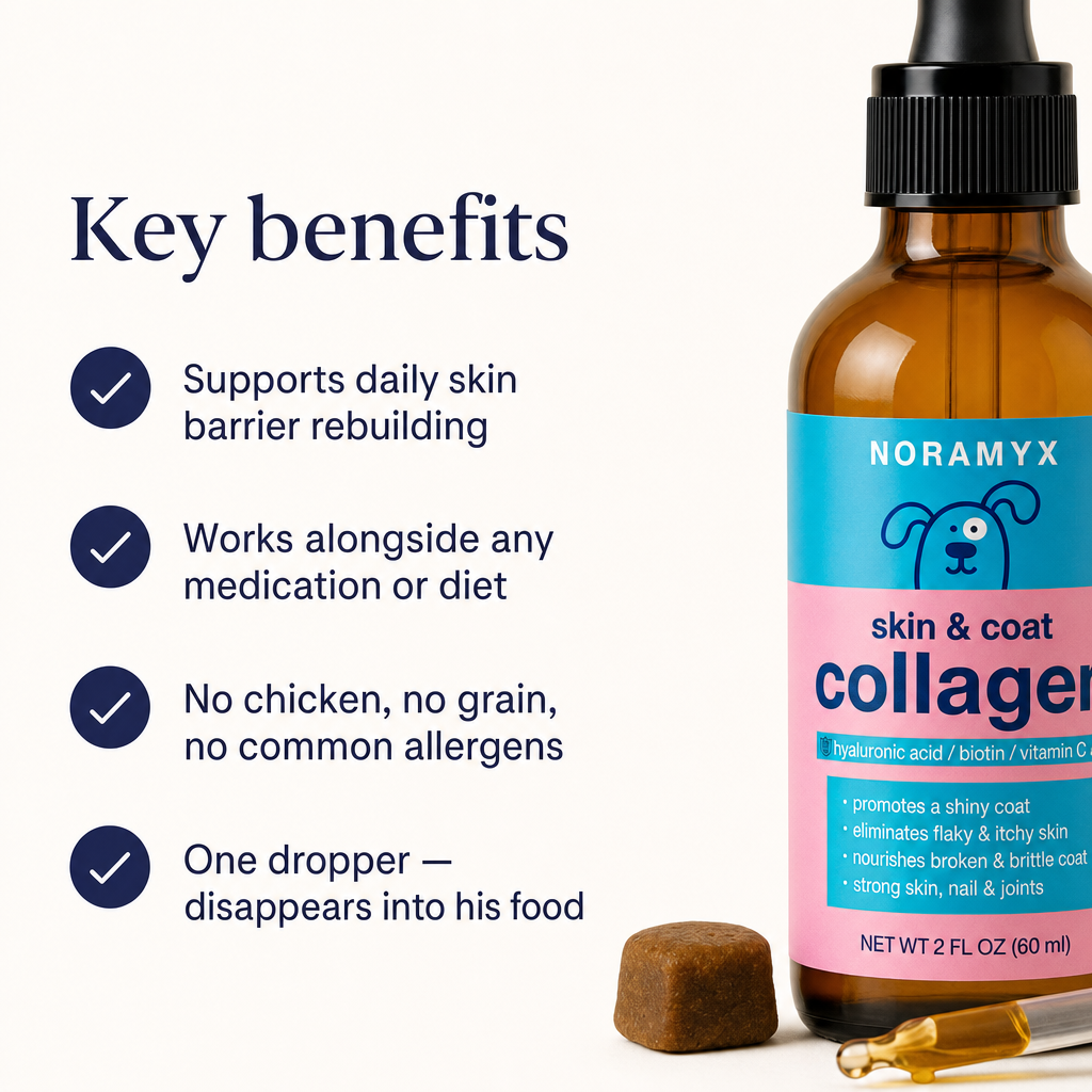 Key benefits: supports daily skin barrier rebuilding, works alongside any medication, no chicken no grain, one dropper disappears into food.